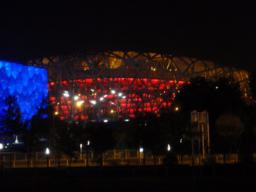 Water Bubble and Bird Nest at Night.